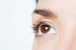 eyelash